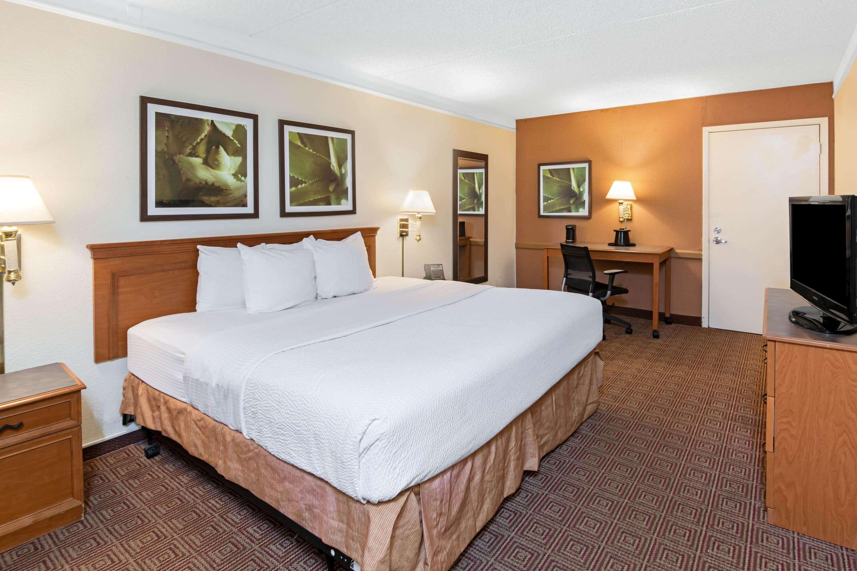 La Quinta Inn By Wyndham San Antonio Lackland Exterior foto